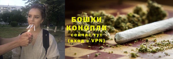 амф Карпинск