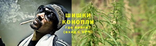 амф Карпинск