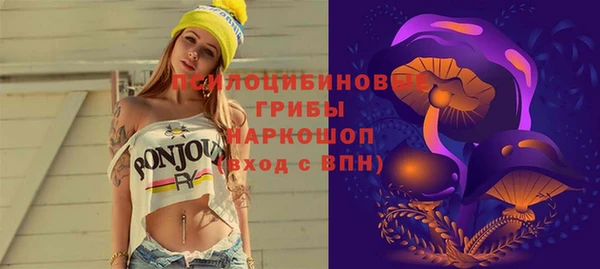 амф Карпинск