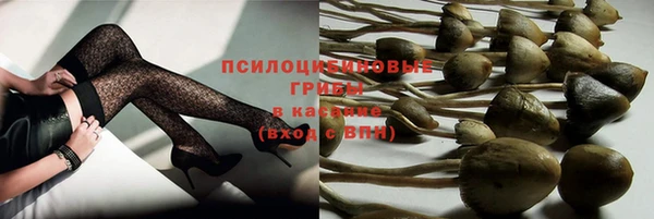 амф Карпинск