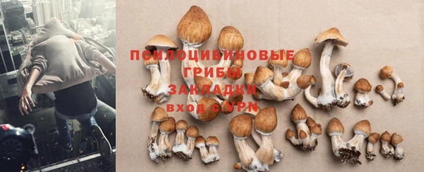 амф Карпинск