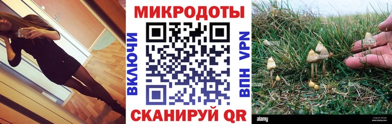 Псилоцибиновые грибы ЛСД  Купить закладки  Новоузенск 