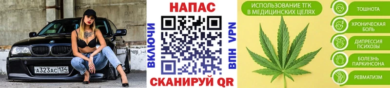 Каннабис Amnesia Купить где Новоузенск